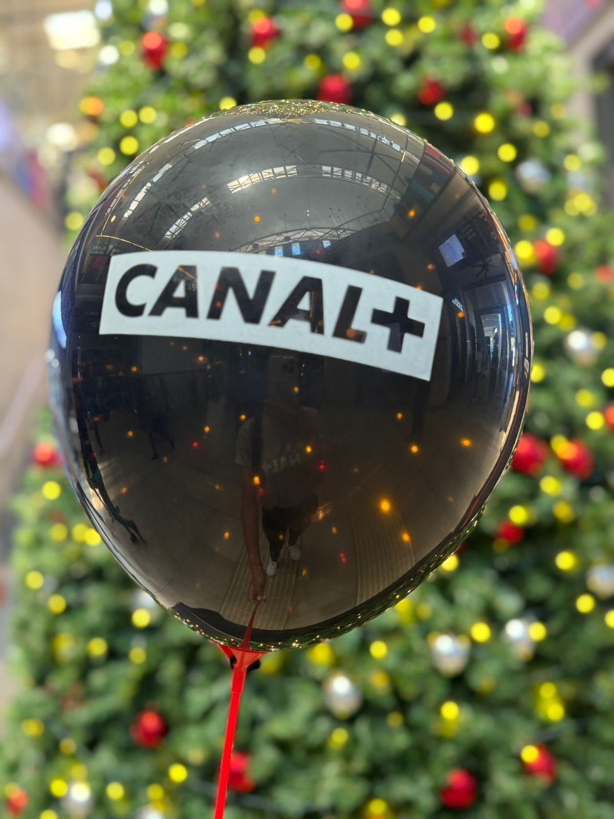 Canal Plus Event Staff