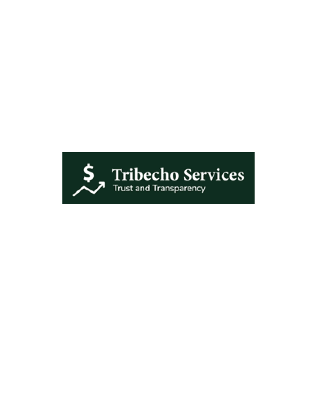 Tribecho Services