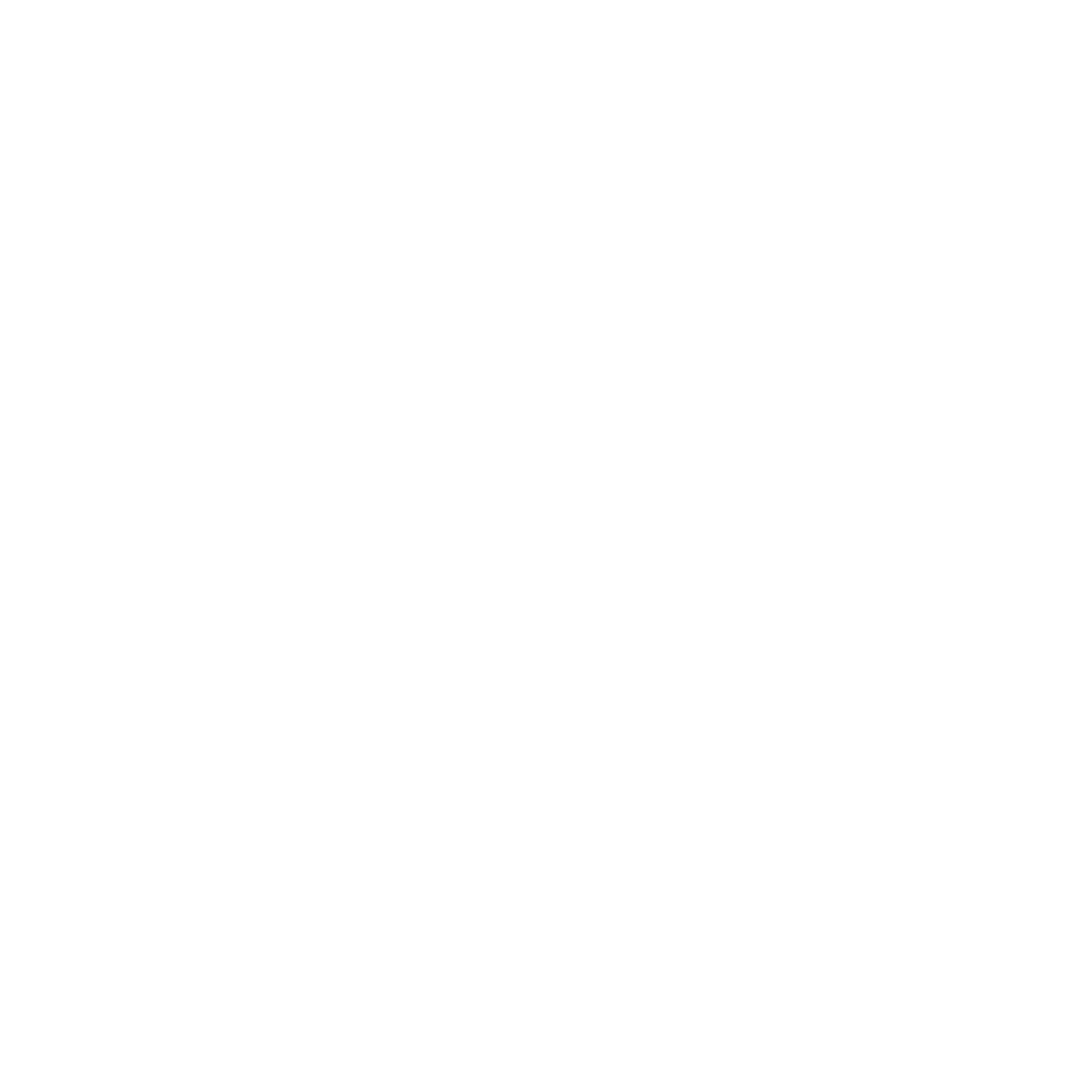 Experience