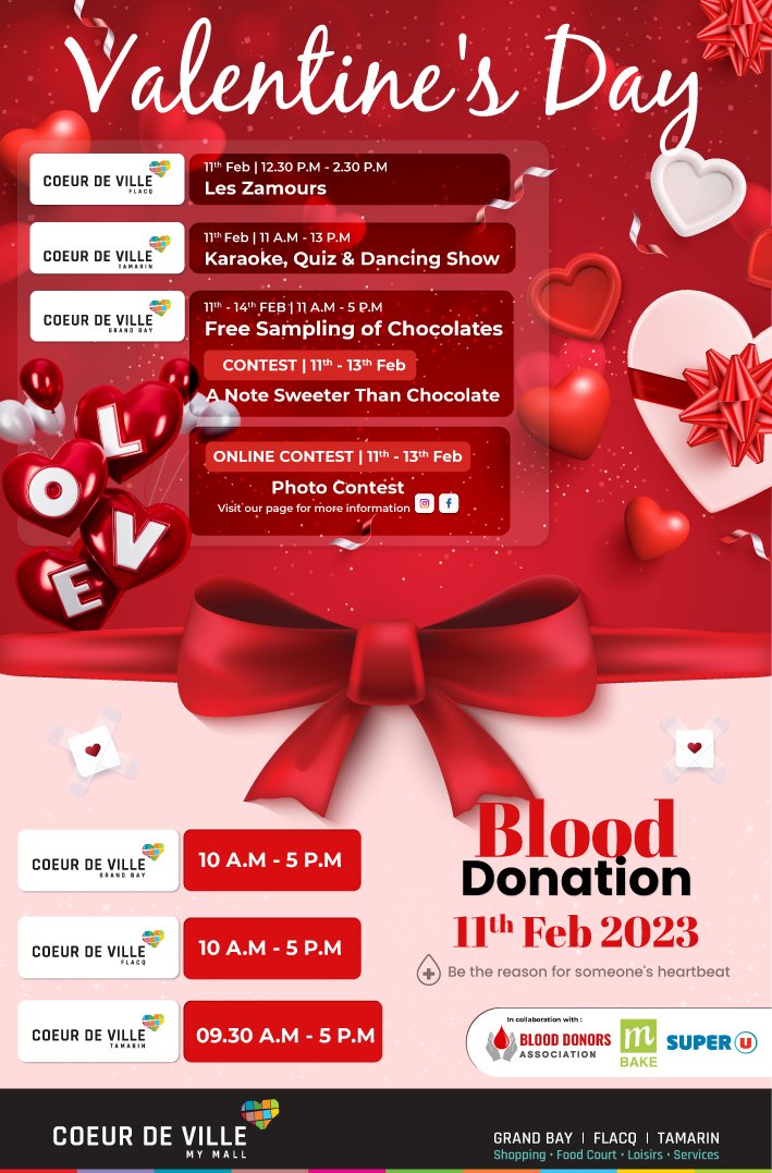 Coeur de Ville Brochure - BD VD Campaign