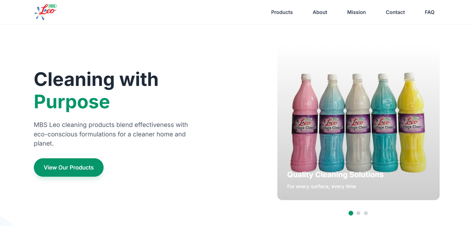 MBS Leo Website Case Study