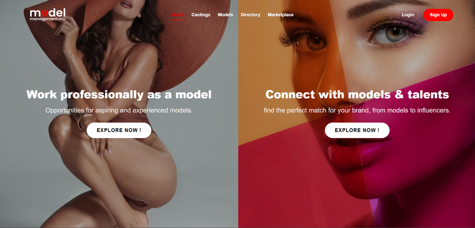 Model Management Website Case Study