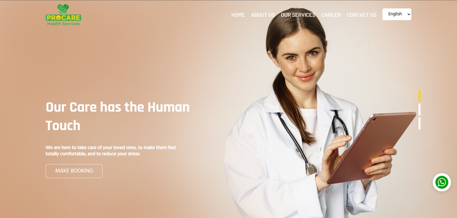 ProCare Website Case Study